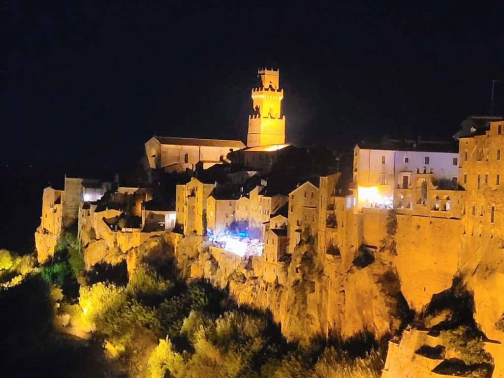 appartamento in vendita a Pitigliano