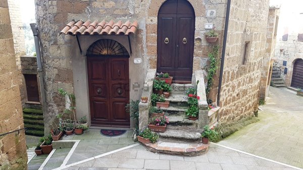 appartamento in vendita a Pitigliano