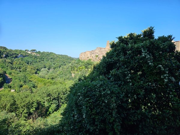 appartamento in vendita a Pitigliano