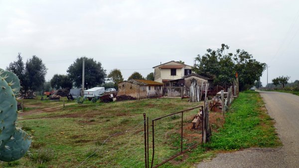 azienda agricola in vendita a Pitigliano