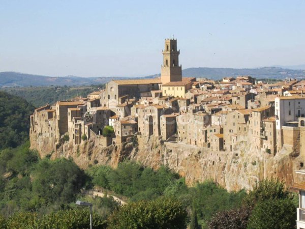 appartamento in vendita a Pitigliano