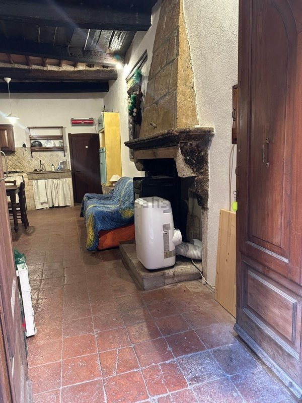 appartamento in vendita a Pitigliano