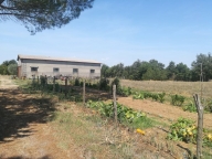 casa indipendente in vendita a Pitigliano