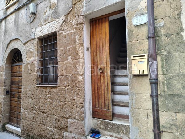 appartamento in vendita a Pitigliano