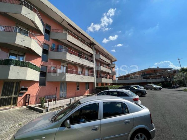 appartamento in vendita a Pitigliano