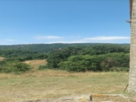 azienda agricola in vendita a Pitigliano