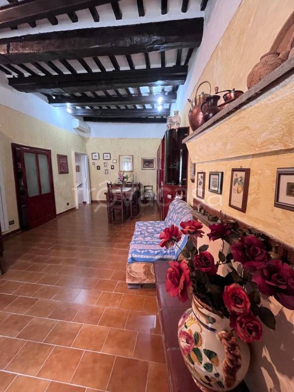 appartamento in vendita a Pitigliano
