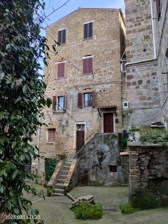 appartamento in vendita a Pitigliano