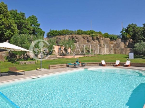 casa indipendente in vendita a Pitigliano