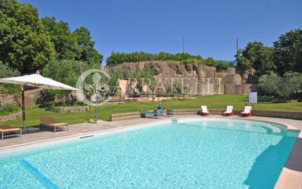 casa indipendente in vendita a Pitigliano