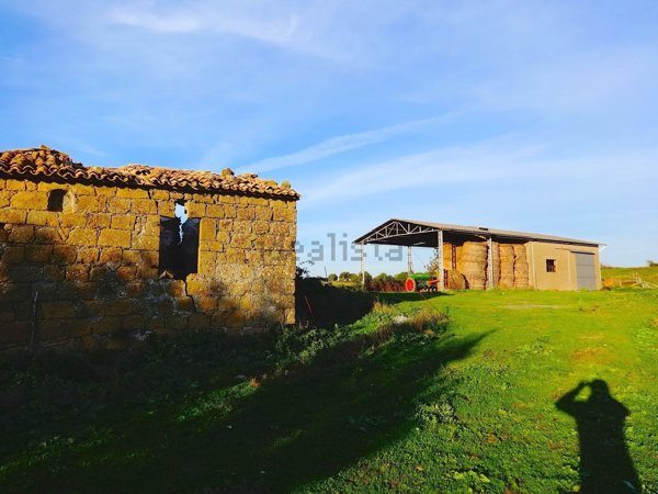 pentavano in vendita a Pitigliano