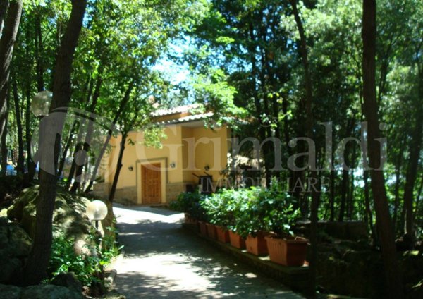 intera palazzina in vendita a Pitigliano