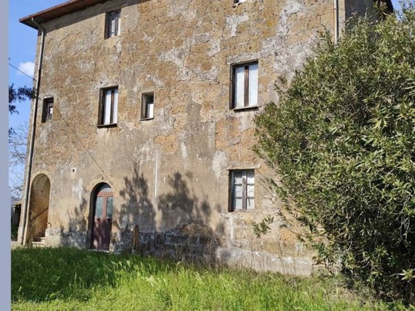 appartamento in vendita a Pitigliano