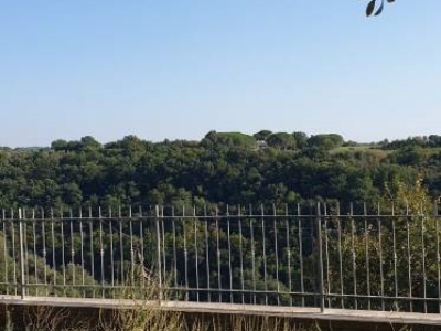 appartamento in vendita a Pitigliano