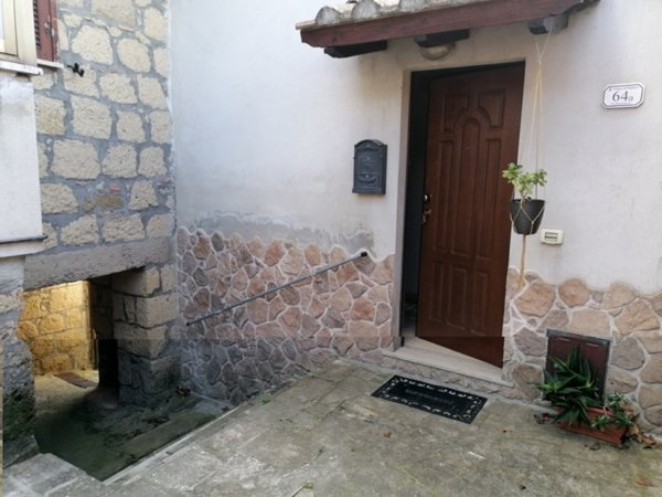 appartamento in vendita a Pitigliano
