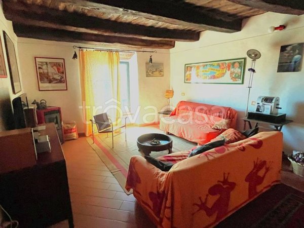 appartamento in vendita a Pitigliano