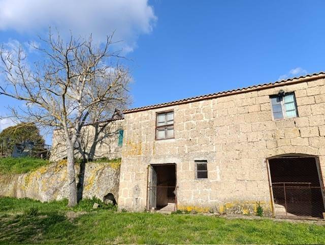 azienda agricola in vendita a Pitigliano