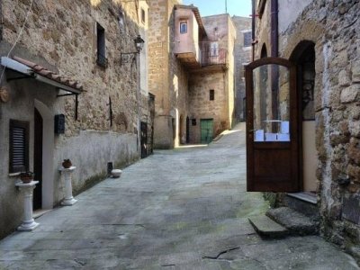 appartamento in vendita a Pitigliano