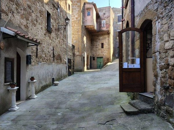 locale commerciale in vendita a Pitigliano