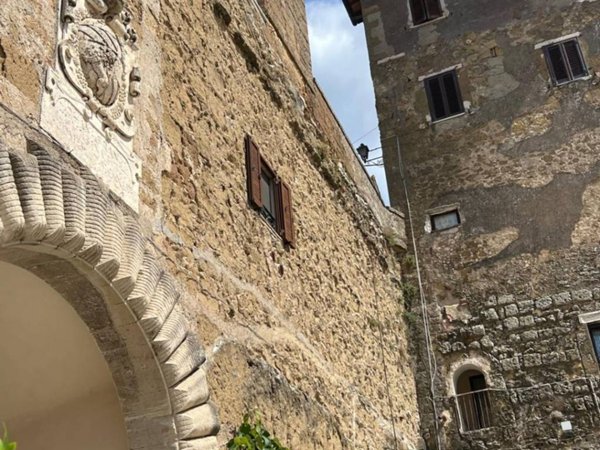 casa indipendente in vendita a Pitigliano