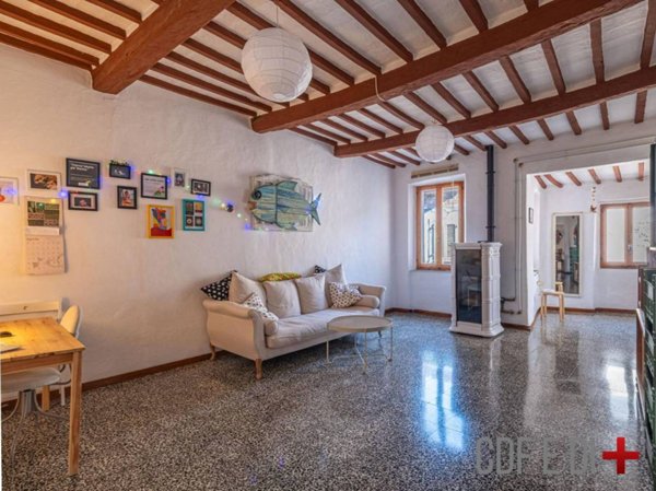appartamento in vendita a Pitigliano