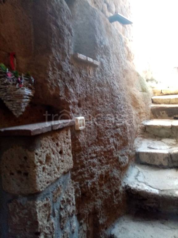 appartamento in vendita a Pitigliano
