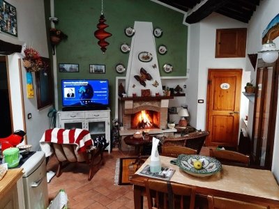 appartamento in vendita a Pitigliano