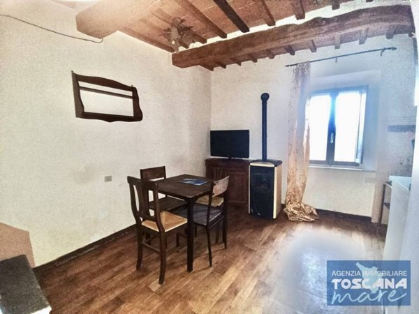 appartamento in vendita a Pitigliano