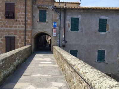 appartamento in vendita a Pitigliano