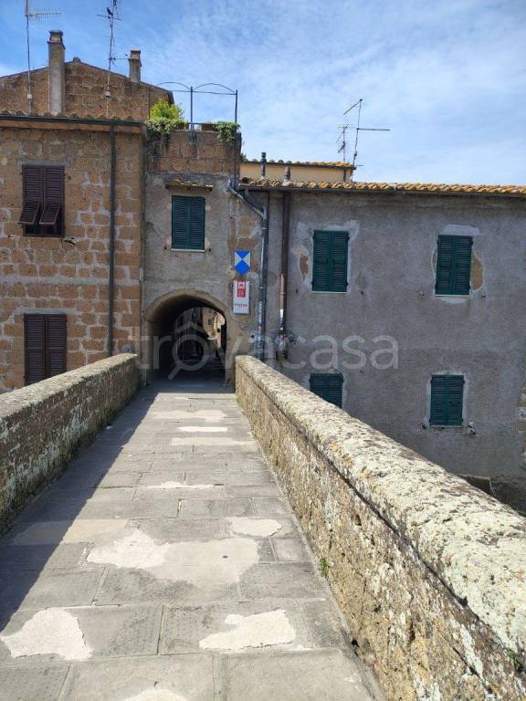 appartamento in vendita a Pitigliano