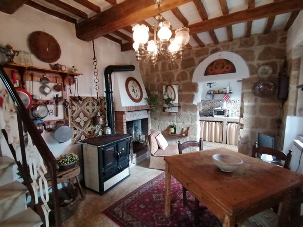 appartamento in vendita a Pitigliano