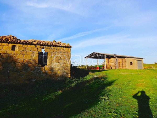 terreno agricolo in vendita a Pitigliano
