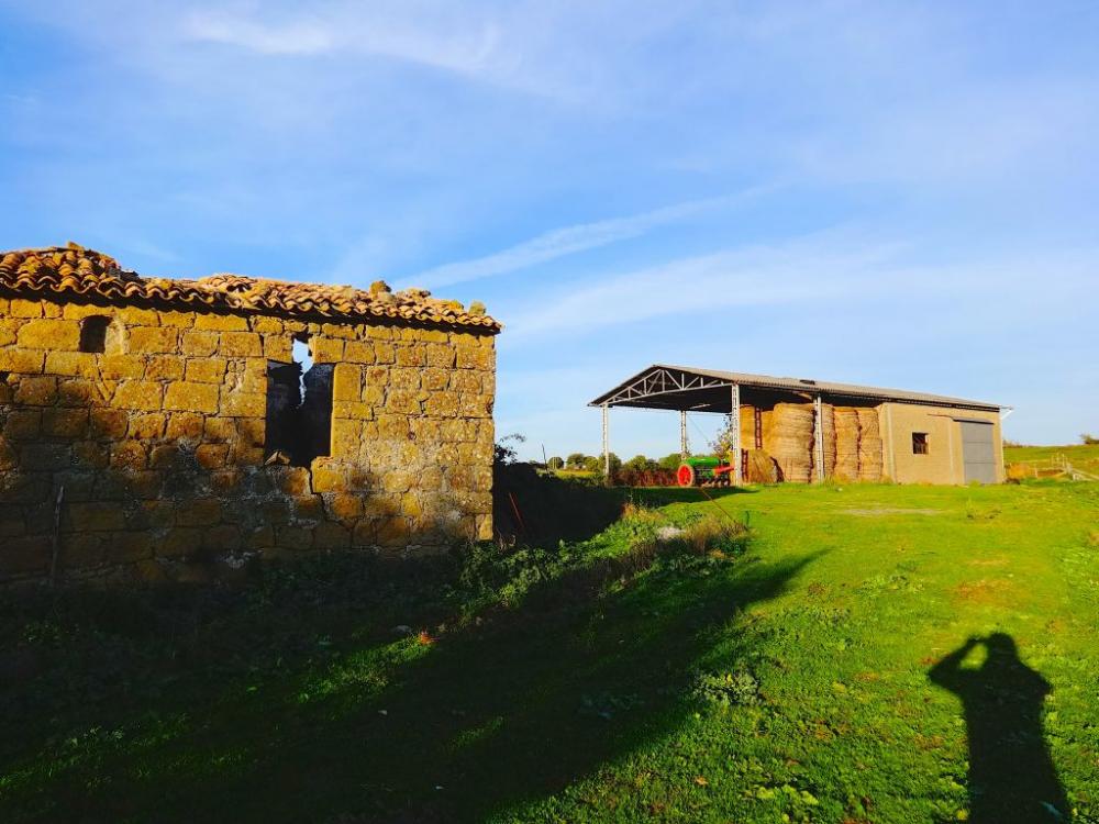 azienda agricola in vendita a Pitigliano