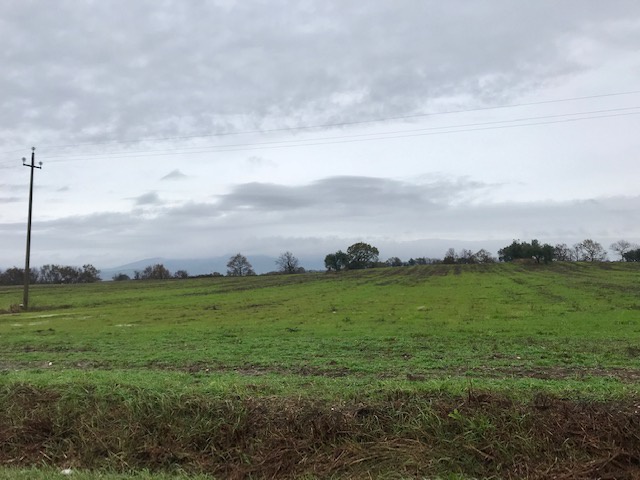 terreno agricolo in vendita a Pitigliano