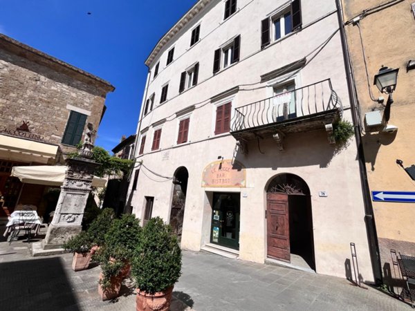 appartamento in vendita a Pitigliano