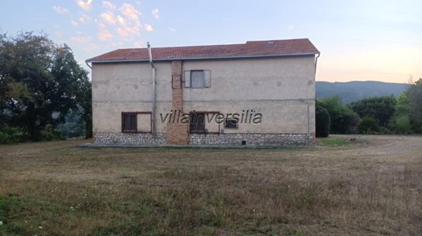 azienda agricola in vendita a Pitigliano