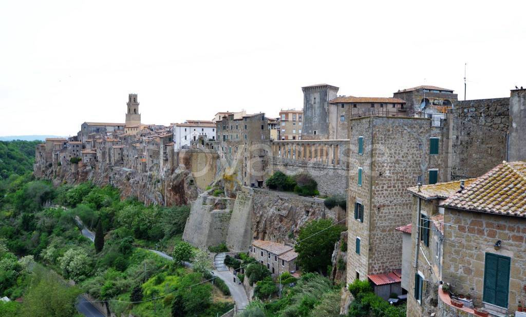 appartamento in vendita a Pitigliano