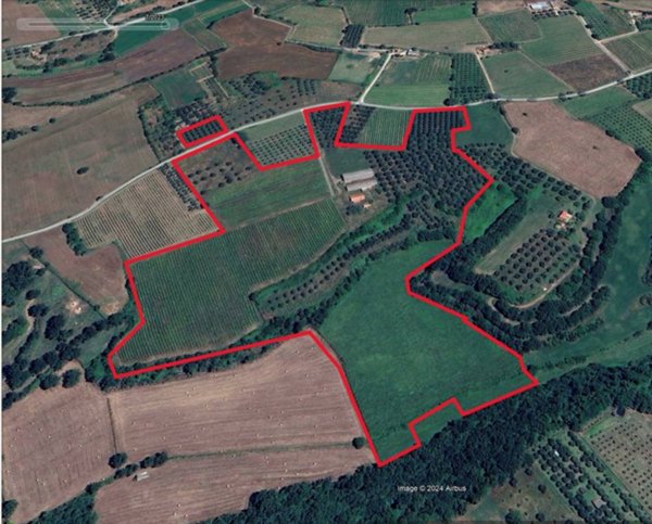 terreno agricolo in vendita a Pitigliano