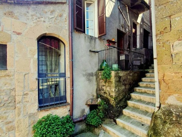 appartamento in vendita a Pitigliano
