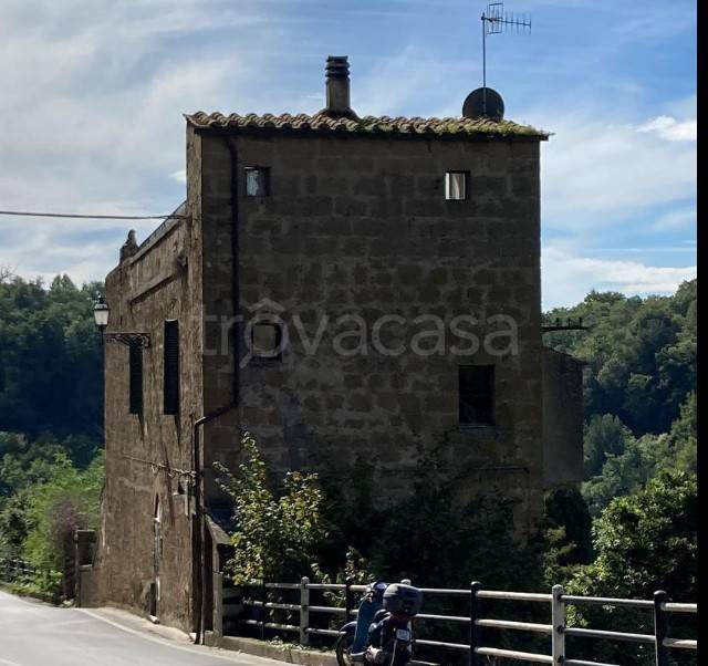 appartamento in vendita a Pitigliano