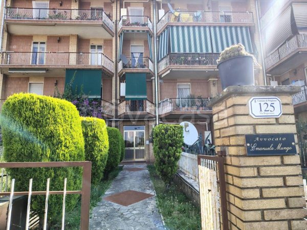 appartamento in vendita a Pitigliano