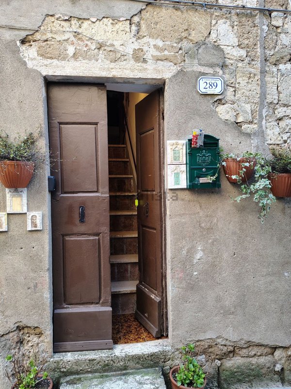 appartamento in vendita a Pitigliano