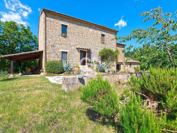 casa indipendente in vendita a Pitigliano