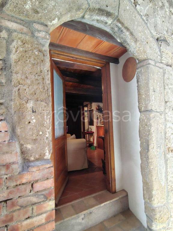 appartamento in vendita a Pitigliano