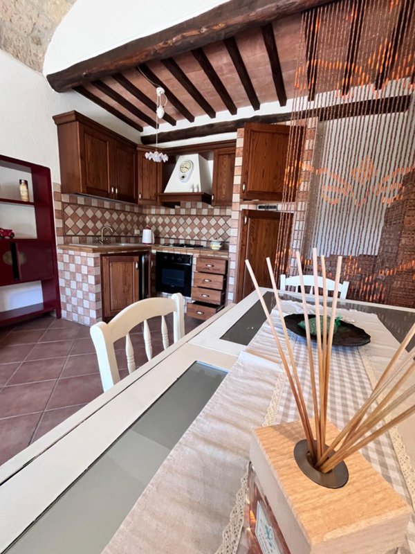 appartamento in vendita a Pitigliano