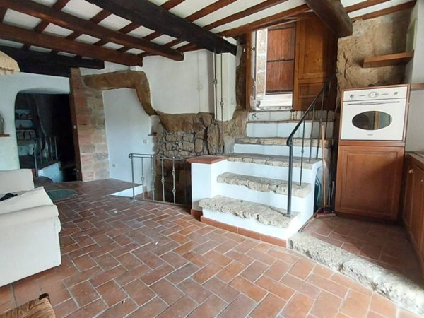 appartamento in vendita a Pitigliano