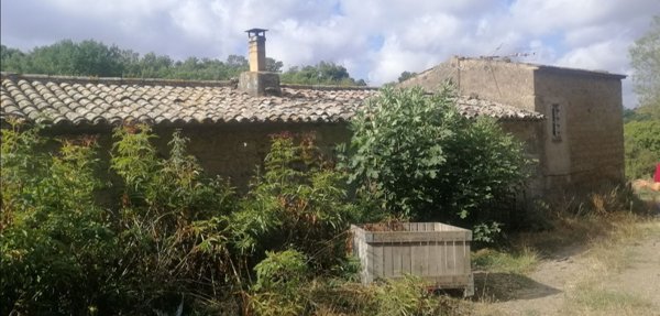 casale in vendita a Pitigliano