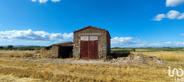 terreno agricolo in vendita a Pitigliano