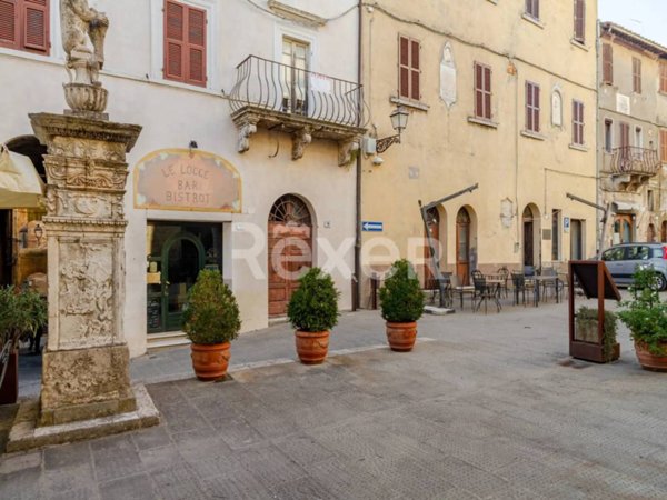 appartamento in vendita a Pitigliano