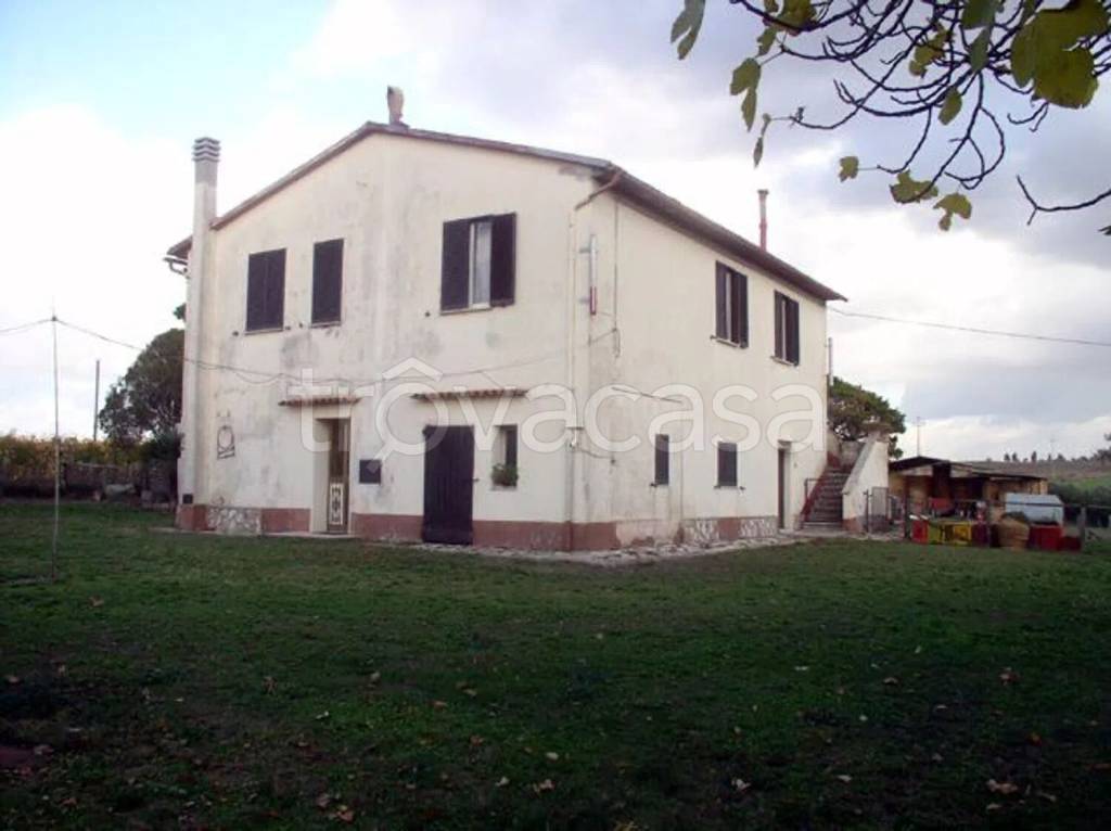 casa indipendente in vendita a Pitigliano